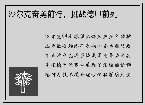 沙尔克奋勇前行，挑战德甲前列