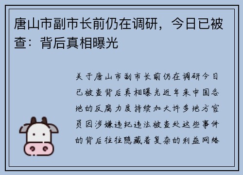 唐山市副市长前仍在调研，今日已被查：背后真相曝光
